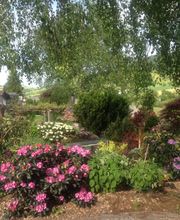 Baumann Gartenbau AG Bild 7