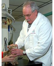 Monroe County Animal Hospital image 4