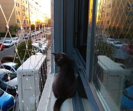 300868650-1-tzfa0wDN7J1779443577141.jpeg