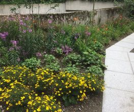 Stern Gartenbau AG Bild 7
