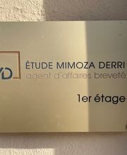 Etude Mimoza Derri Bild 2