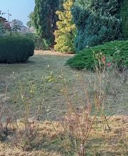 Dienstleistungsservice Kankel Bild 4