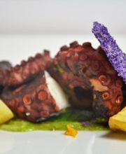 Gallery Professionale