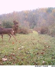 Legend Valley Outfitters image 16