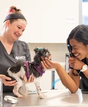 Oath Animal Hospital image 18