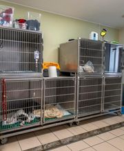 Clinique vétérinaire de Cognac - Sevetys image 5