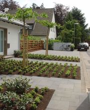 Thomas Stiller Bild 4