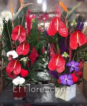 Efflorescence image 13