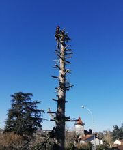 A.D.S Services image 7