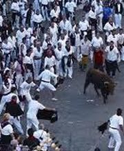 Casa Josefina imagen 18