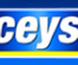 logo_ceys.png