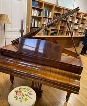 Danel Hervé image 7