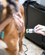 TotalBond Veterinary Hospital at Forestbrook image 15