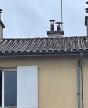 Poitou 3D image 9
