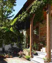 Weinbauer Michael Zinner Bild 3