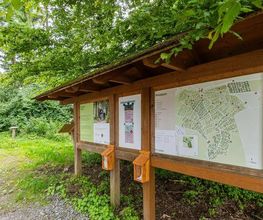 FriedWald Weilrod Bild 10