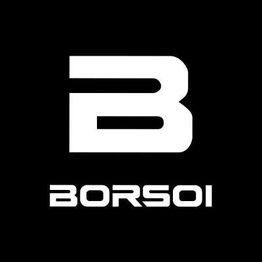 Concessionaria Borsoi logo