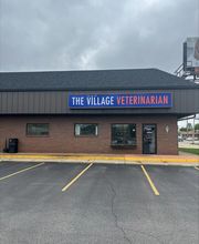 The Village Veterinarian image 10