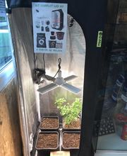 Toukipouss Growshop CBD shop image 2