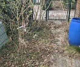 Helfer Äffchen Bild 9