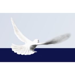 Bestattungsinstitut KOCH GmbH