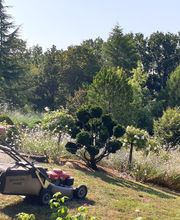 Baeza Christophe image 2