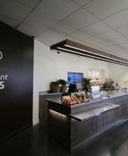 Carrément Fleurs - Fleuriste Le Passage Agen 47 - Livraison de fleurs à domicile image 3