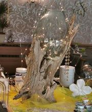 Altstadt Pension ORCHIDEE Wernigerode Bild 15