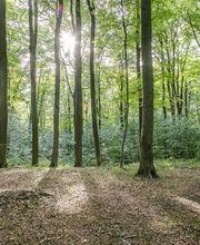 FriedWald Grevesmühlen Bild 9
