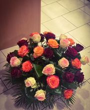 Aux Fleurs De Célia image 4