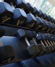 Monkey Gym Sagl Bild 7