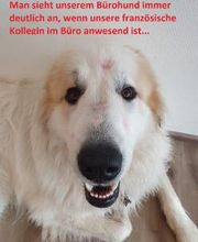 HeiBa GmbH Personalvermittlung Bild 5