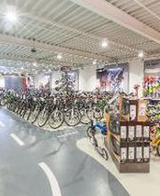 B.O.C. - BIKE & OUTDOOR COMPANY GmbH & Co. KG Bild 1