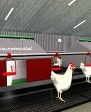 Premel Cabic image 17