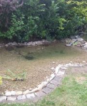 Teichbau und Pflasterarbeiten