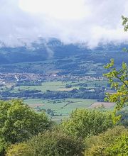 B Bois Forêts image 11