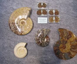 Minéraux Cristaux Bild 2
