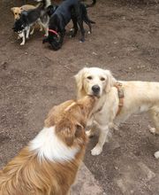 Martin Hofmann Bild 20