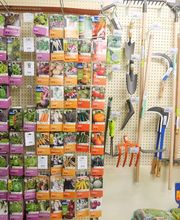 Natera - Arvieu image 7