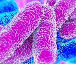 LEGIONELLA-LLEIDA.jpg