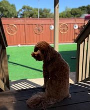 MARCO COTON PAINTING INC image 9