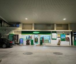 bp imagen 3