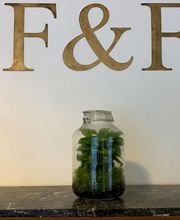 F & F Immobilier image 6