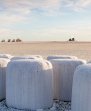 Ballenwickelfolie - Siloballen
enrubannage