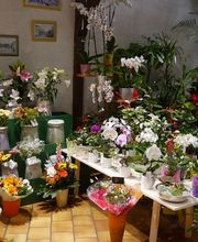 Monique Fleurs image 2