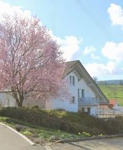 onesta Immobilien Treuhand AG Bild 7