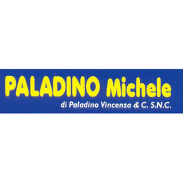 Ricambi Auto Paladino logo