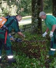 Bauert AG Parkpflege Gartenbau Bild 15