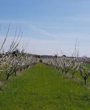 S . N Les Vergers De Muant SARL image 2