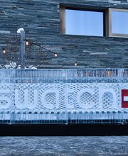 Eisskulpturen.ch Bild 7